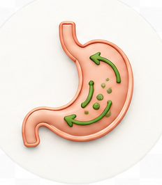 Digestion
